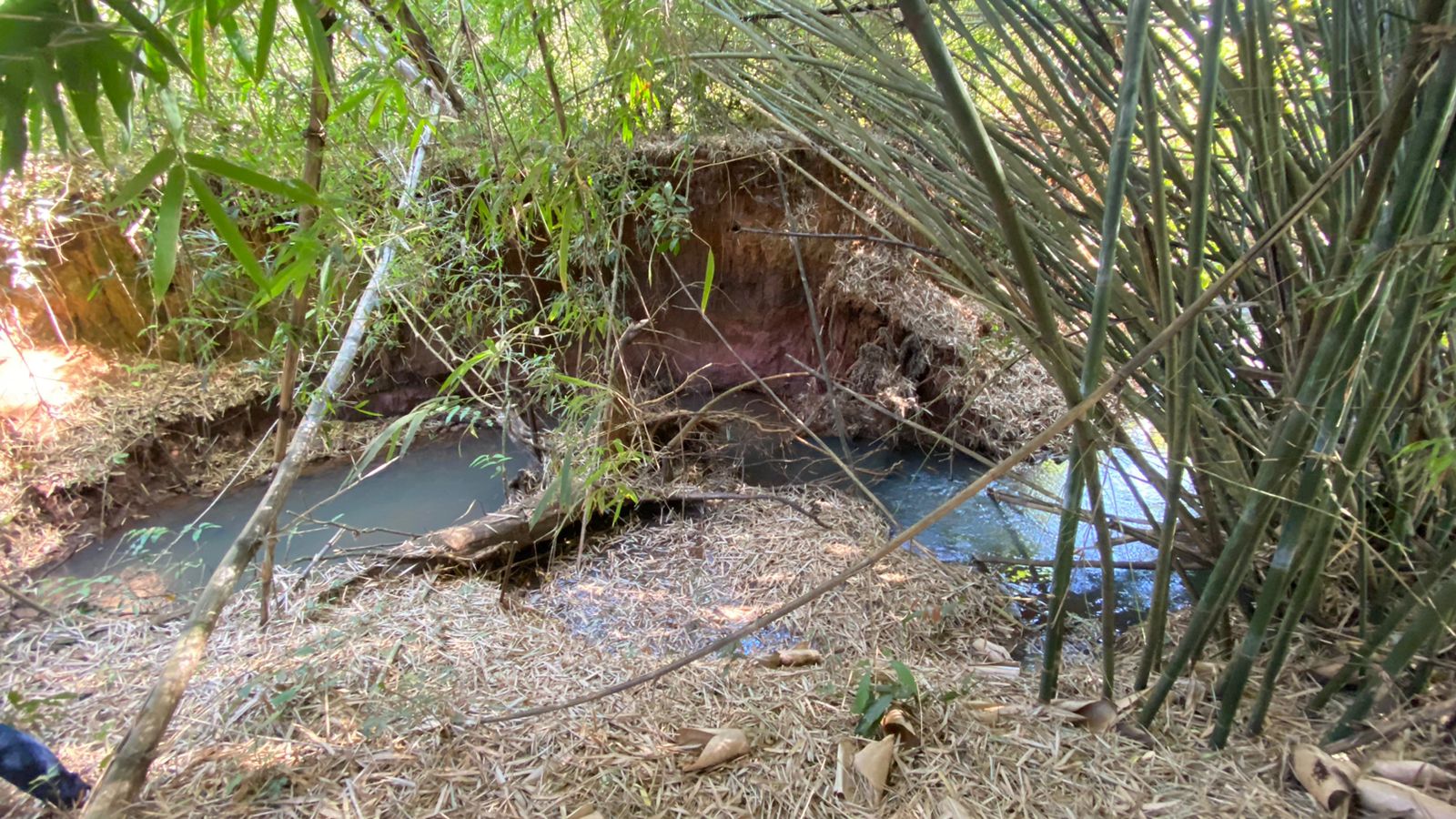 WhatsApp Image 2023-08-14 at 13.38.54 (3).jpeg