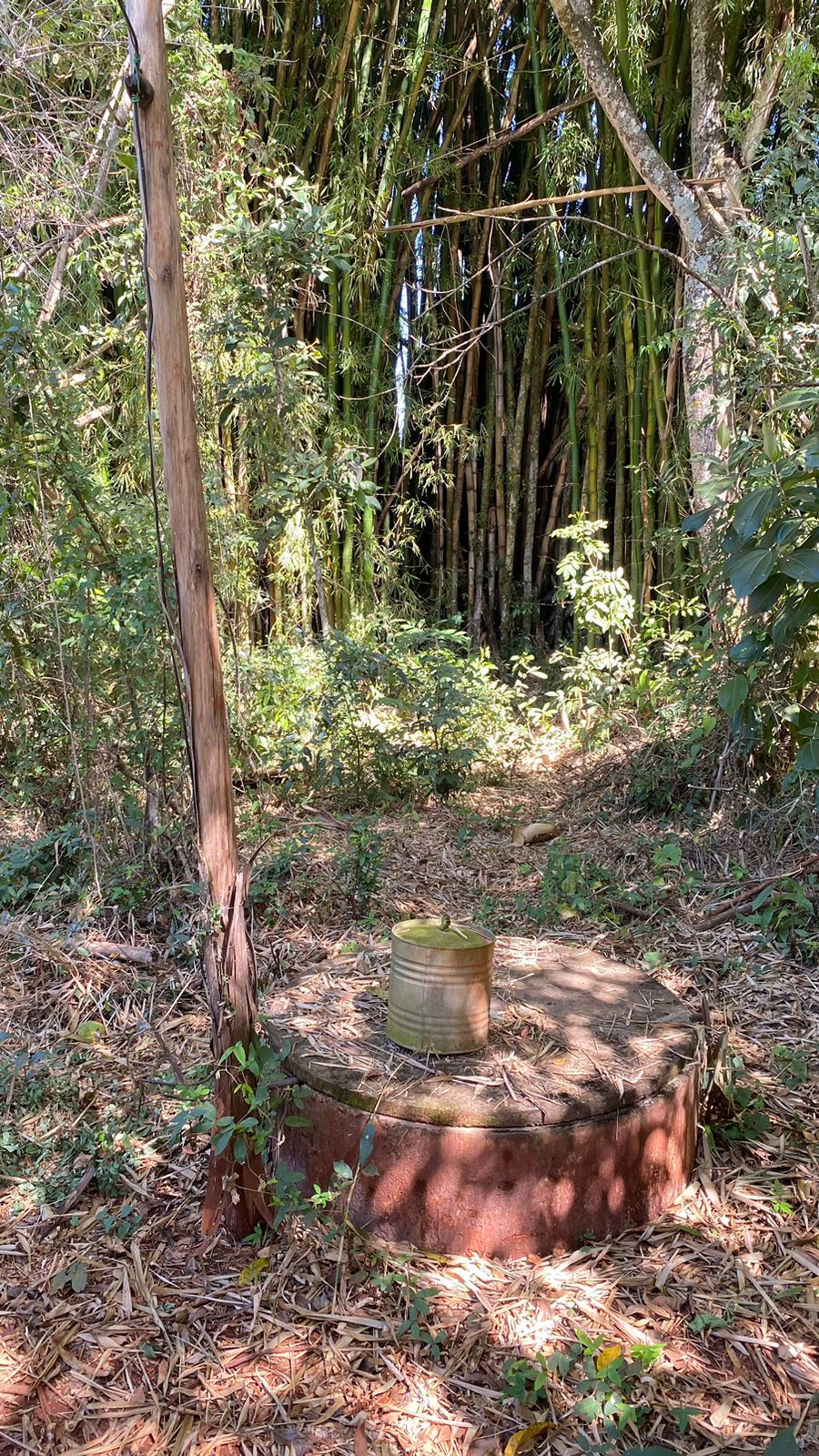 WhatsApp Image 2023-08-14 at 13.38.54 (1).jpeg