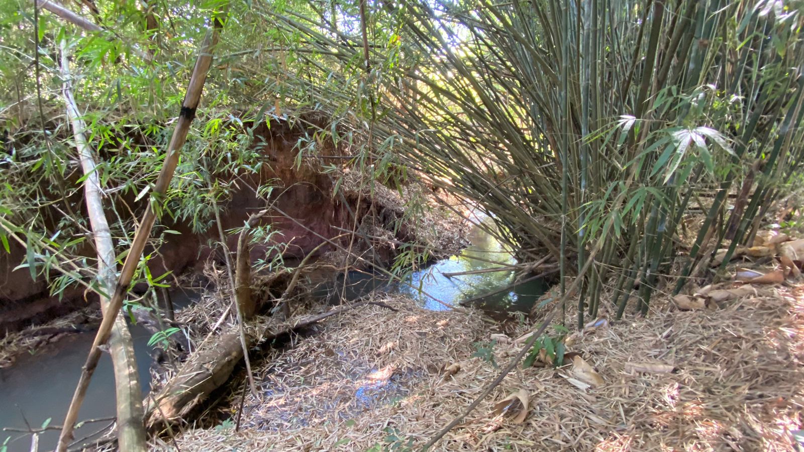 WhatsApp Image 2023-08-14 at 13.38.55 (1).jpeg